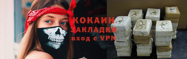 ГАЛЛЮЦИНОГЕННЫЕ ГРИБЫ Абаза