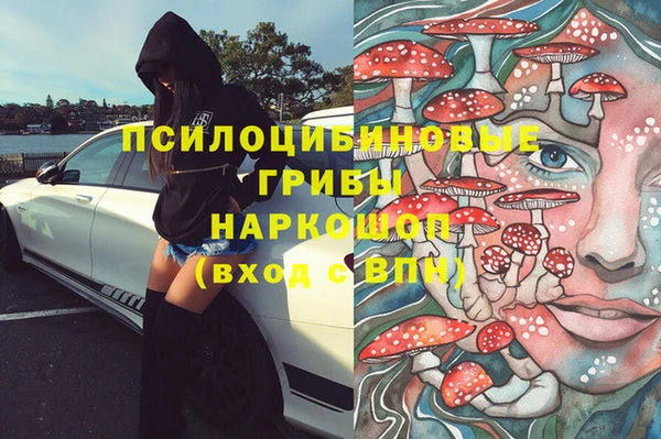 ПСИЛОЦИБИНОВЫЕ ГРИБЫ Абинск