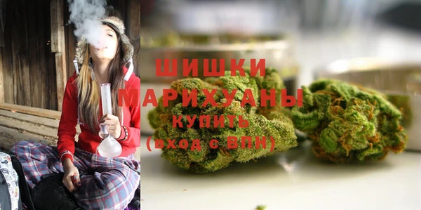ГАЛЛЮЦИНОГЕННЫЕ ГРИБЫ Абаза
