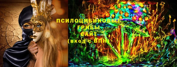 ПСИЛОЦИБИНОВЫЕ ГРИБЫ Абинск