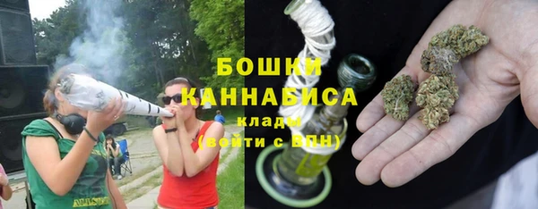 ГАЛЛЮЦИНОГЕННЫЕ ГРИБЫ Абаза