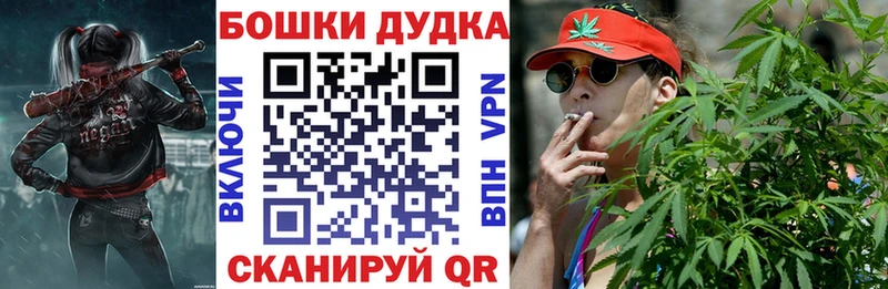 купить наркотики цена  Нариманов  OMG tor  Бошки марихуана Bruce Banner 